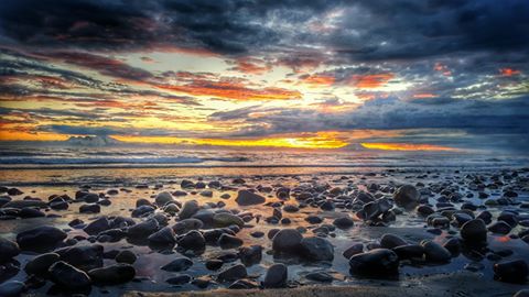 Where to Stay and Things to do near Homer, Alaska