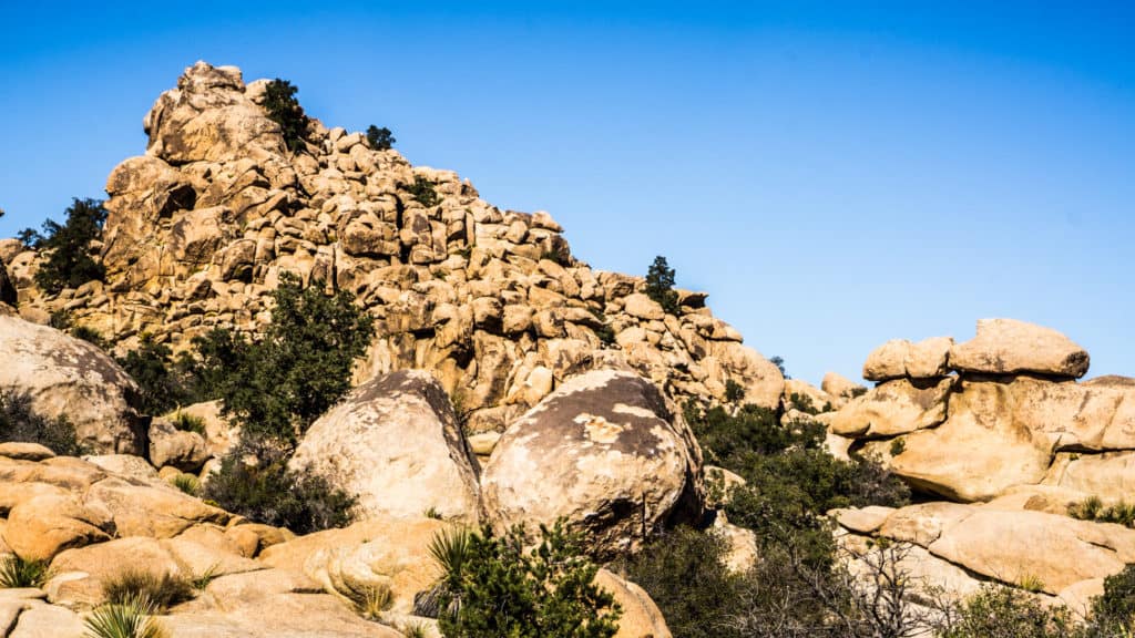 Bouldering in Joshua Tree