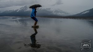 Bore Tide in the