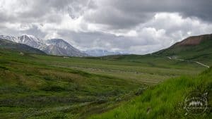Camping in Denali National Park