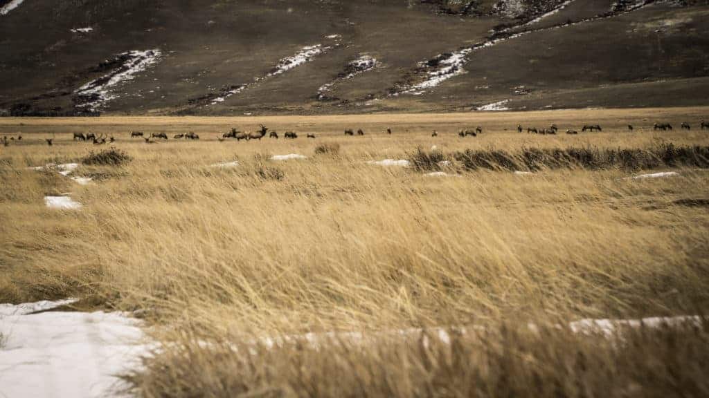 Winter Activities in Jackson Hole
