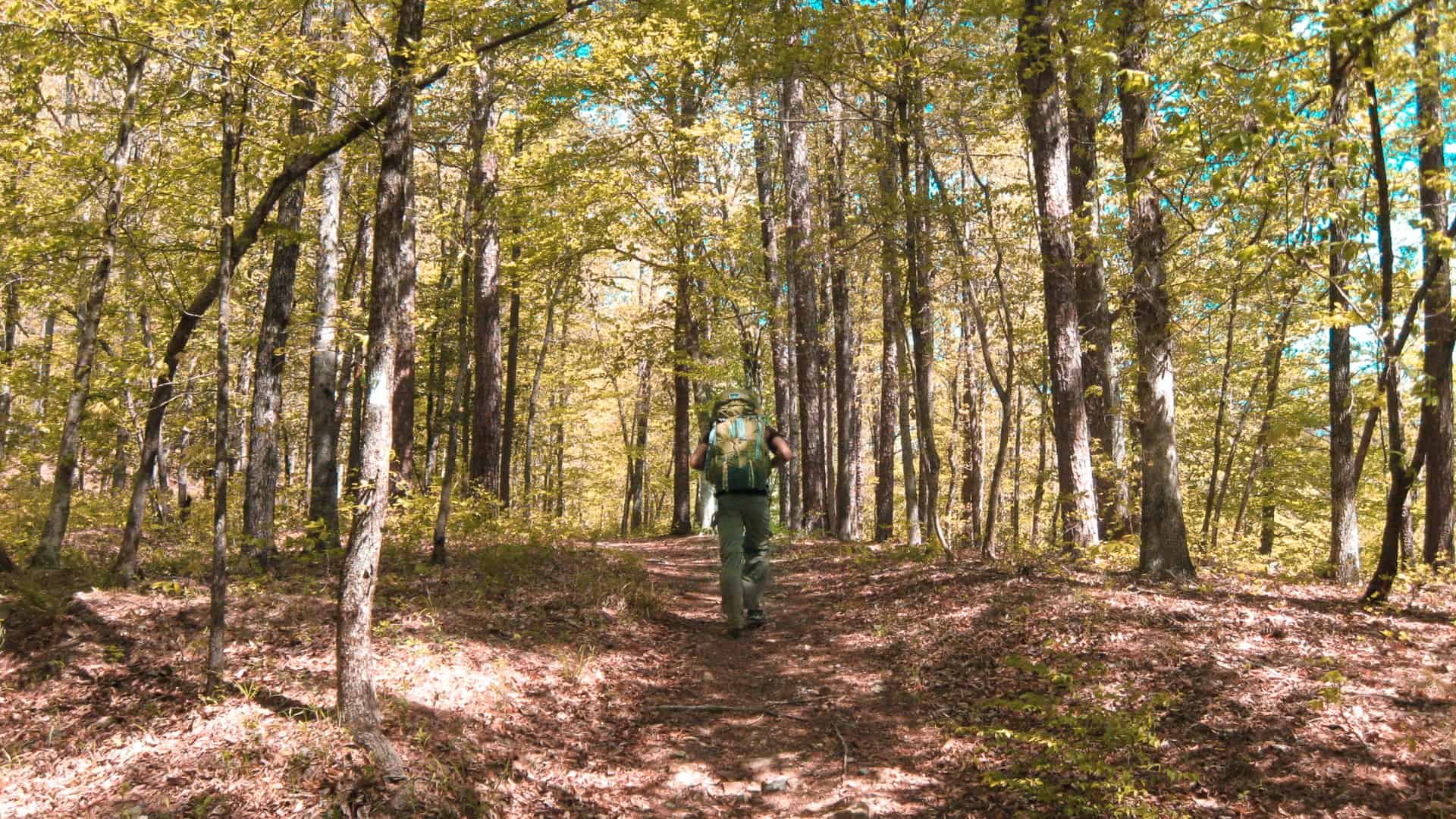Backpacking Eagle Rock Loop in the Ouachita National Forest, Arkansas