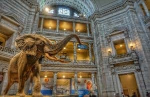 Smithsonian Museum of Natural History